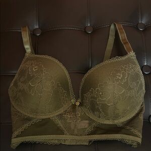 Daisy Fuentes Lace Bra in Olive